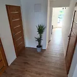 Mihelyuenk 3*