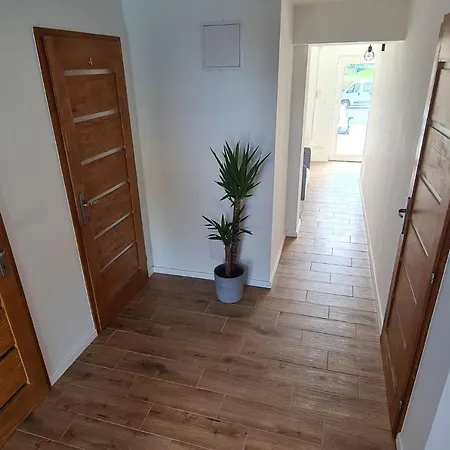Mihelyuenk 3*