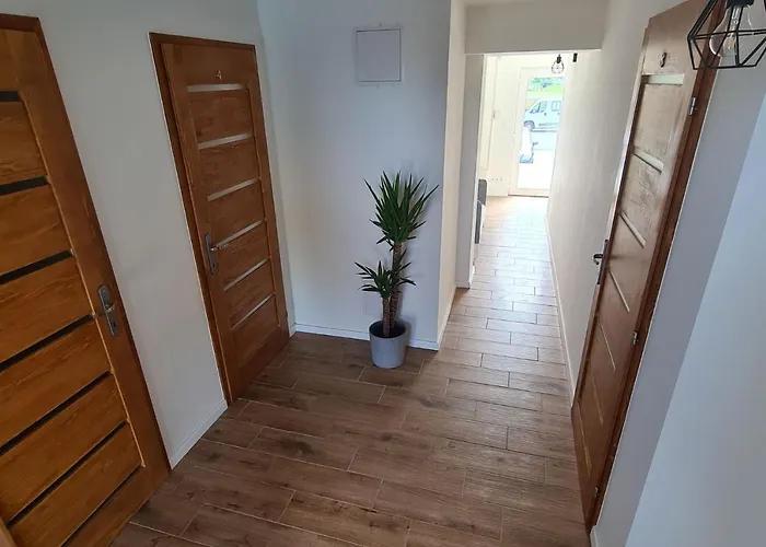 Mihelyuenk 4*